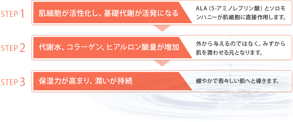 肌細胞が活性化し、基礎代謝が活発になる→代謝水、コラーゲン、ヒアルロン酸量が増加→保湿力が高まり、潤いが持続