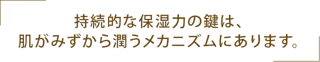 持続的な保湿力の鍵は、肌がみずから潤うメカニズムにあります。