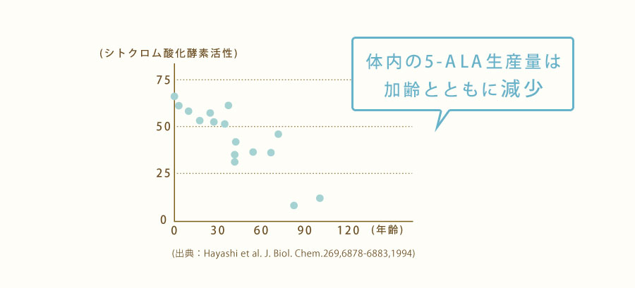 体内のALAの生産量は加齢とともに減少