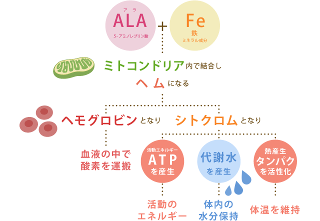 を 食品 ala 5 含む 新型コロナウイルス感染患者へ5